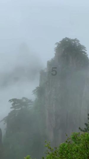世界射箭锦标赛