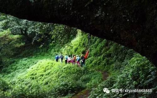 男生为什么对女生摸头杀-【专注科普百科知识】