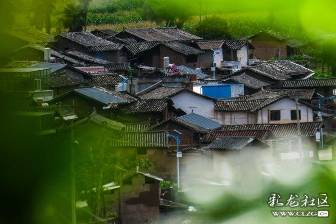 我的戏精三国杀