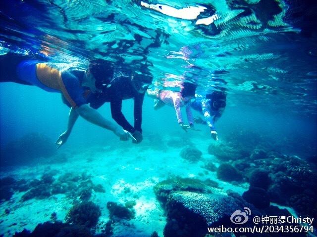 消灭怪物大作战