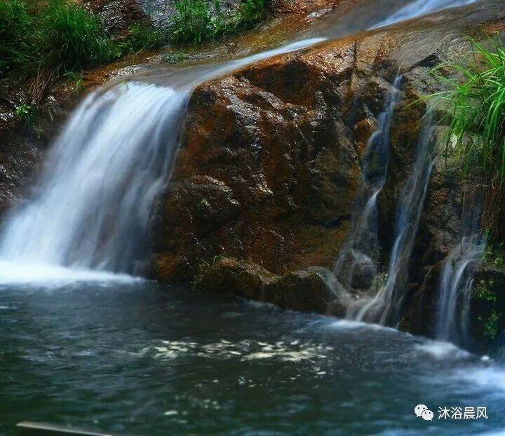探秘吉鹿力问答社区,解锁鱼是养单好还是养双好?为什么?的秘密